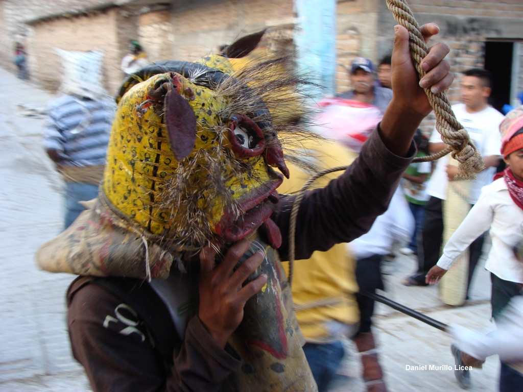 Tigre en Zitlala2